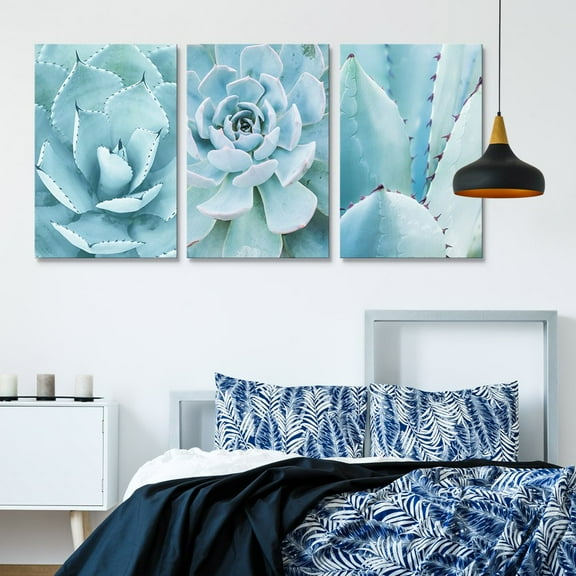 wall26-3 Panel Canvas Wall Art - Closeup of Blue Succulent Plants - Giclee Print Gallery Wrap Modern Home Art Ready to Hang - 16"x24" x 3 Panels