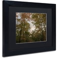 thumbnail image 2 of Trademark Fine Art "Autumn Window to a Sunset" Canvas Art by Kurt Shaffer, Black Matte, Black Frame, 2 of 4
