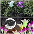 thumbnail image 3 of Paquete de 4 luces solares para jardín, flores de lirio, luces LED cambiantes multicolores, energía solar para jardín, Patio, camino, fiesta, vacaciones brillar Electrónica, 3 of 5