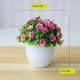 thumbnail image 3 of Plantas Artificiales Falsas Soledad 4x Macetas Decorativas para Jardín, 3 of 7