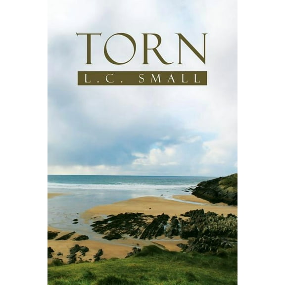 Torn (Paperback)