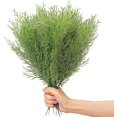 thumbnail image 1 of 60 ramas de hojas de pino artificiales YONGSHENG 13,7 pulgadas, 1 of 4