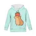 thumbnail image 6 of DISNIMO Capybara Hoodie Girls Strawberry Hoodie Kids 8-10 Boys and Girls Sweatshirts with Hoods Graphic Hooded Sweatshirt Girl Streetwear Hoodie Children Casual Clothes Kids Fall Clothing, 6 of 7