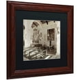 thumbnail image 2 of Trademark Fine Art "Banogregio I" Canvas Art by Alan Blaustein, Black Matte, Wood Frame, 2 of 4