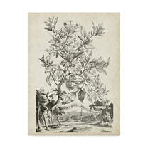 Trademark Fine Art 'Scenic Botanical II' Canvas Art by Abraham Munting