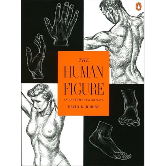 Pre-Owned The Human Figure: An Anatomy for Artists (Paperback) 0140042431 9780140042436