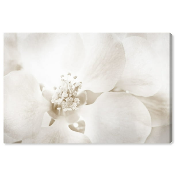 Runway Avenue Fl And Botanical Wall Art Canvas Prints Orchid Love Home Décor 15 X 10 White Com - Botanical Wall Art Prints Runway Avenue Fl And Botanical Wall Art Canvas Prints Orchid Love Home Décor 15 X 10 White Com - Botanical Wall Art Prints