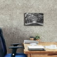 thumbnail image 4 of Epic Graffiti 'Wormsloe Inf Light' by Mike Jones, Giclee Canvas Wall Art, 18"x12", 4 of 8