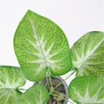 thumbnail image 4 of s artificiales Árbol Epipremnum Aureum s artificiales árbol Vegetación , Mini artificial Bonsai Adornos de es Baoblaze Hojas de taro artificial, 4 of 8