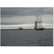 Trademark Fine Art "Breaking Boundary" Canvas Art by Monica Fleet