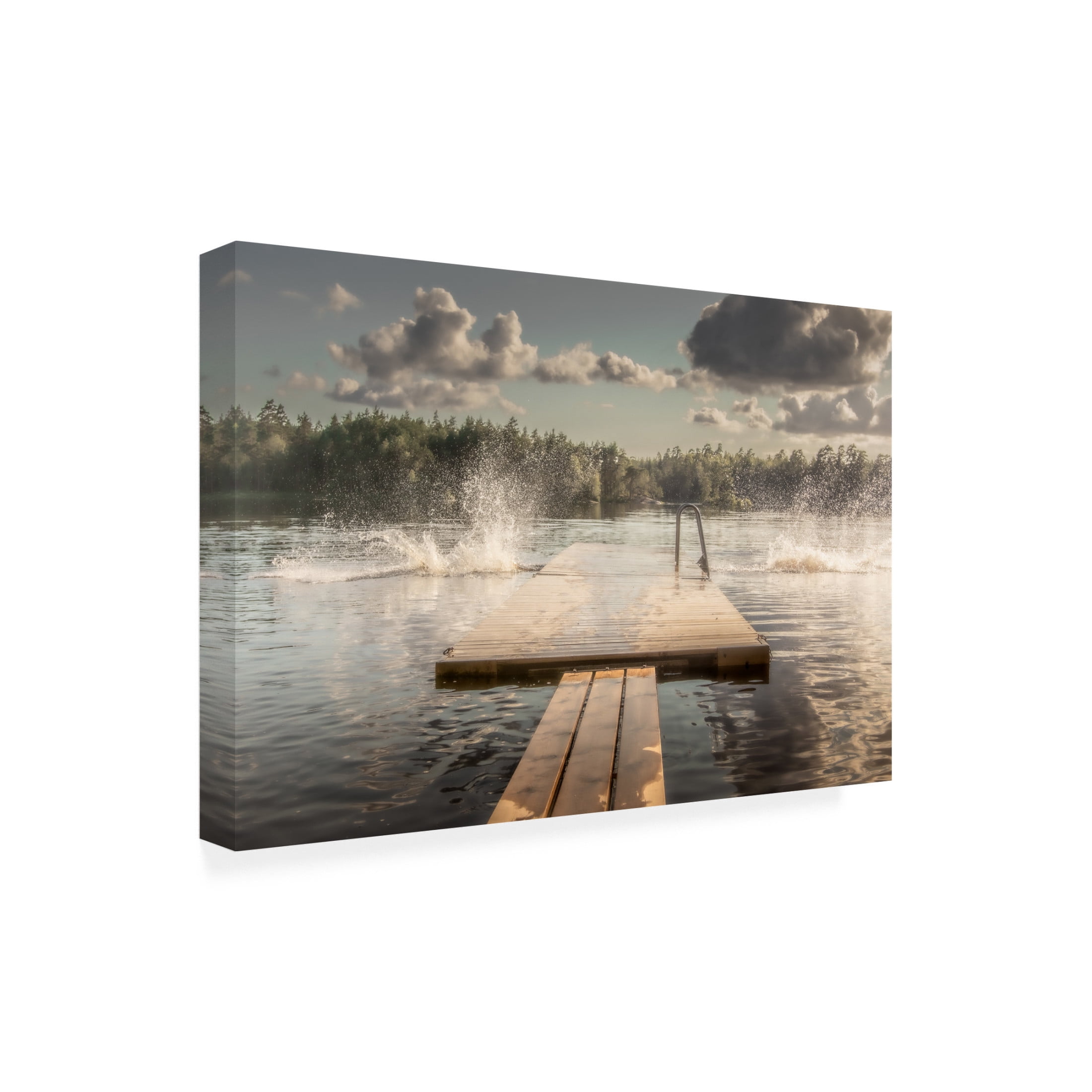 Trademark Fine Art Stephanie Kleimann The Diving Board Canvas Wall Art
