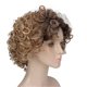 thumbnail image 4 of Women Hair Short Curl Wigs Adjustable High Temperature Synthetic Hair Female Short Hair Wigs for Daily Use, 4 of 5