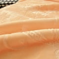 thumbnail image 4 of DBOZE Weighted Heavy Korean Mink Fleece Blanket 2 Ply Reversible Super Silky Soft Plush Warm Blanket King Size, Golden, 4 of 9