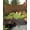 Brown, variant on Outdoor Sun Shade Sail 6.5'x10', Brown Leopard Print Patio Beach Shade Canopy Cloth Waterproof, Classic Abstract Animal Patterned TearResistant & UV Protection Sun Sail for Backyard Garden Deck