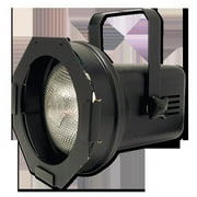 Eliminator Lighting Par 38B E117 Flood Light Black