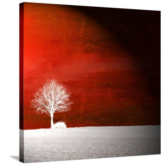 Art.com Sensation in Red Stretched Canvas Print Wall Art by Philippe Sainte-Laudy, 30" x 30"