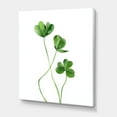 thumbnail image 4 of Field Green Plant Detail Clover 16 in x 40 in Painting Canvas Art Print, by Designart, 4 of 4