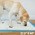 thumbnail image 5 of Four Paws Wee-Wee® Superior Performance Gigantic Dog Pee Pads with Runoff Edge Guard 27.5" x 44" (18 Count), 5 of 12