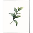thumbnail image 2 of Great Art Now Eucalyptus by Seven Trees Design 3 Piece Canvas Art Set Each 12"W x 15"H, 2 of 4