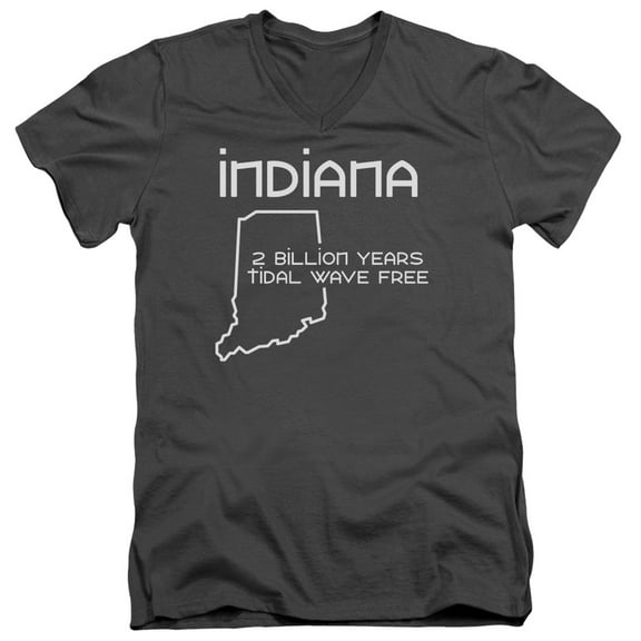 - Indiana - Slim Fit V Neck Shirt - X-Large