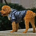 thumbnail image 4 of Dog Faux Pockets Hooded Jacket Warm Winter Coat Snowsuit For Small Dog, 4 of 6