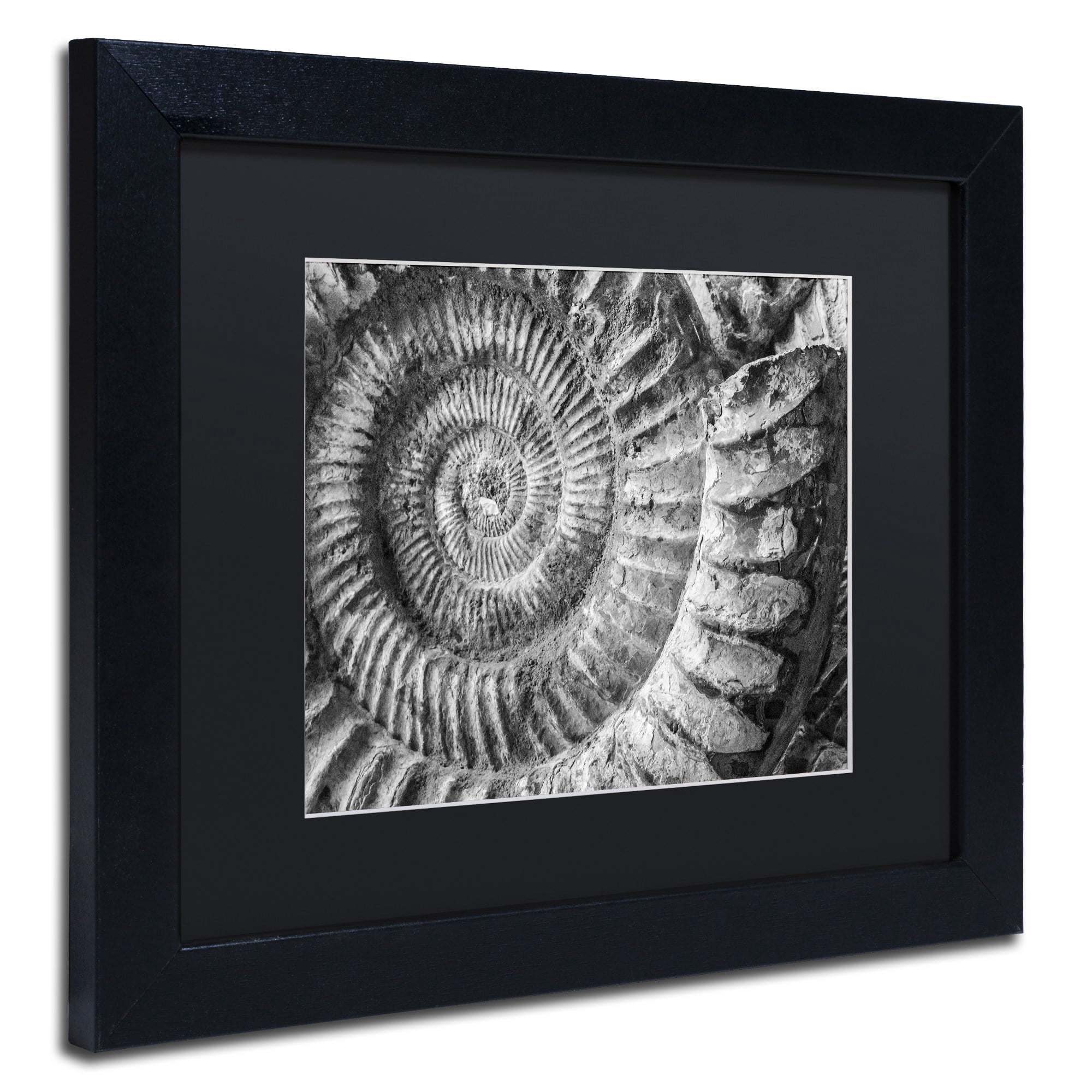 Trademark Fine Art "Amonita 1" Canvas Art by Moises Levy Black Matte, Black Frame