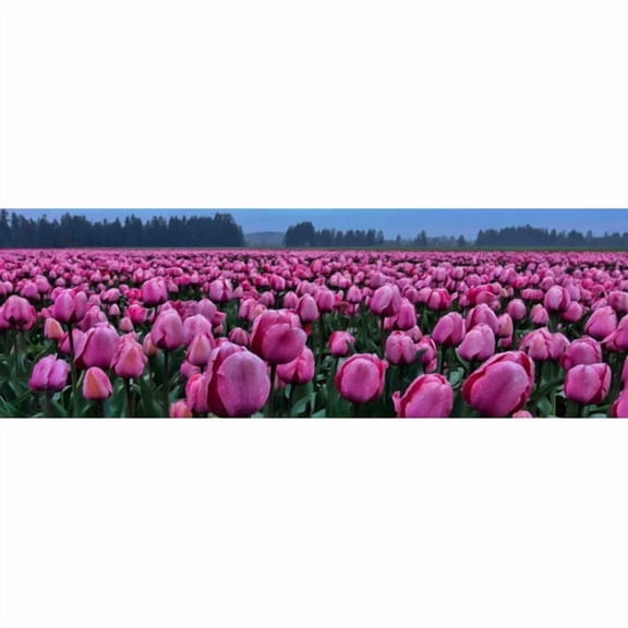Marmont Hill "Tulips Galore" Painting Print on Canvas