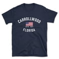 thumbnail image 1 of Carrollwood Florida Patriot Men's Cotton T-Shirt, 1 of 1