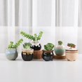thumbnail image 4 of Mini Ceramic Succulent Pots with Drainage - Set of 6, Tiny Pots for Plants, Home and Office Decor, Plant Lover Gifts for Women, 4 of 9