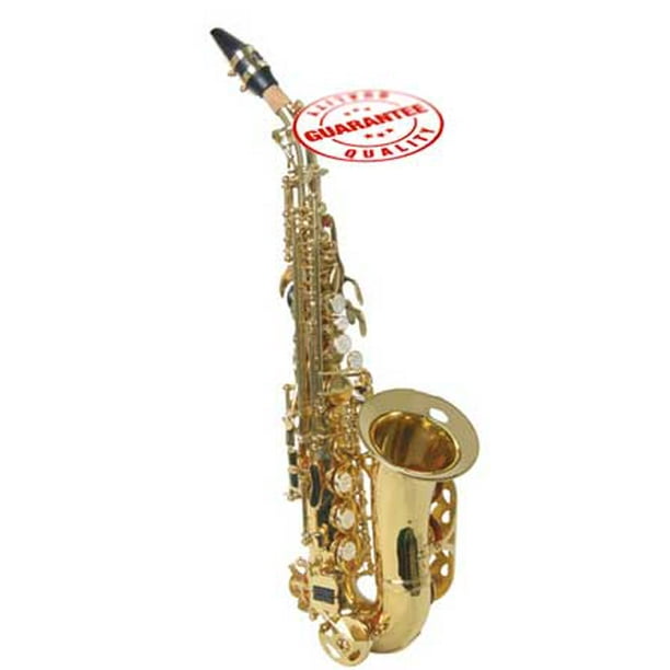 Hawk Curved Soprano Saxophone Gold with Case, Mouthpiece and Reed
