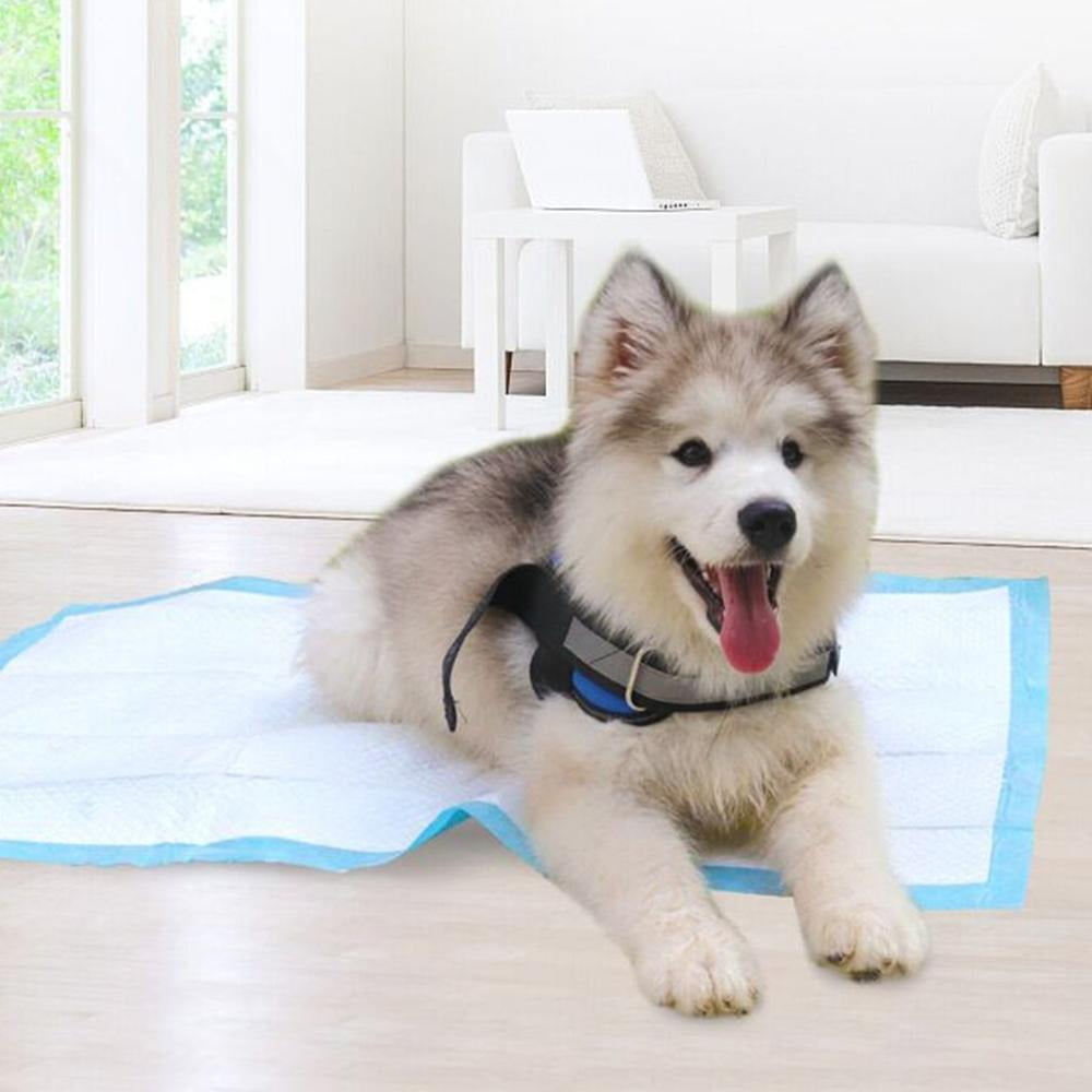 100/20PCS Thicken Pet Dog Changing Mat Multi-size Super Absorbent Diaper Pet Cat Training Pee Pad Mat Puppy Nappy Pet Cleaning for Dog Diaper