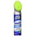 thumbnail image 1 of WOOLITE Cleaner, Carpet & Upholstery, 12 Ounce, 1 of 4