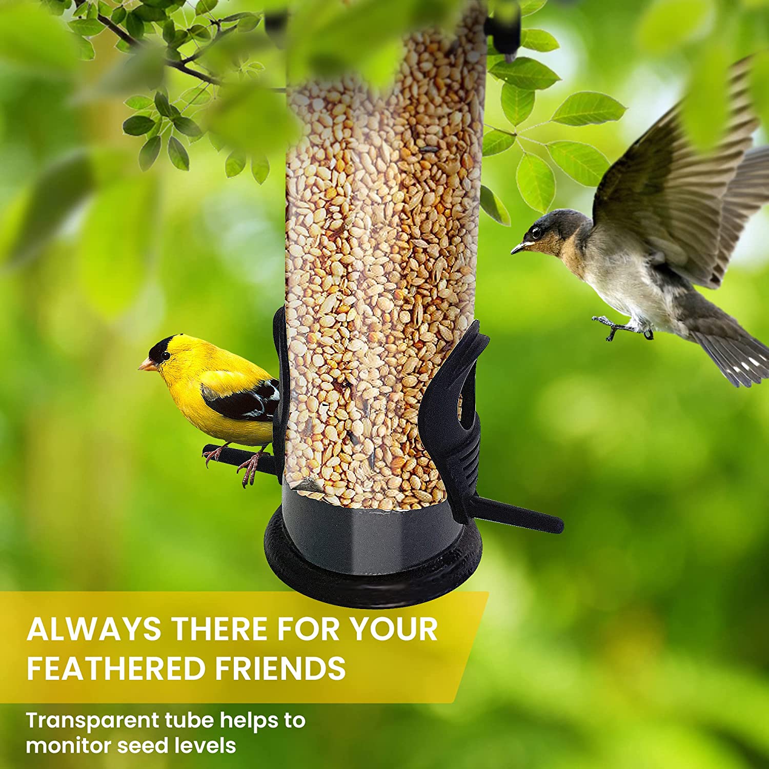 Yousheng Bird Feeders For Small Birds 1Pc Bird Seed Feeder With 2