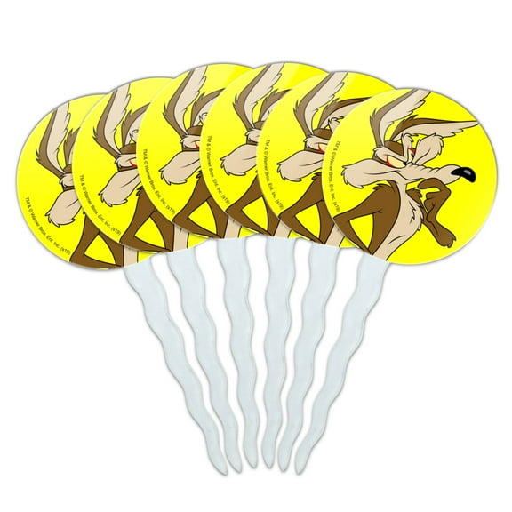 Looney Tunes Wile E Coyote Cupcake Picks Toppers Decoration Set of 6