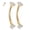 Gold, variant on G23 Titanium Eyebrow Piercing Jewelry 16G Eyebrow Rings Curved Barbell Small Belly Ring Rook Daith Earrings Vertical Labret Lip Piercing 6mm-12mm