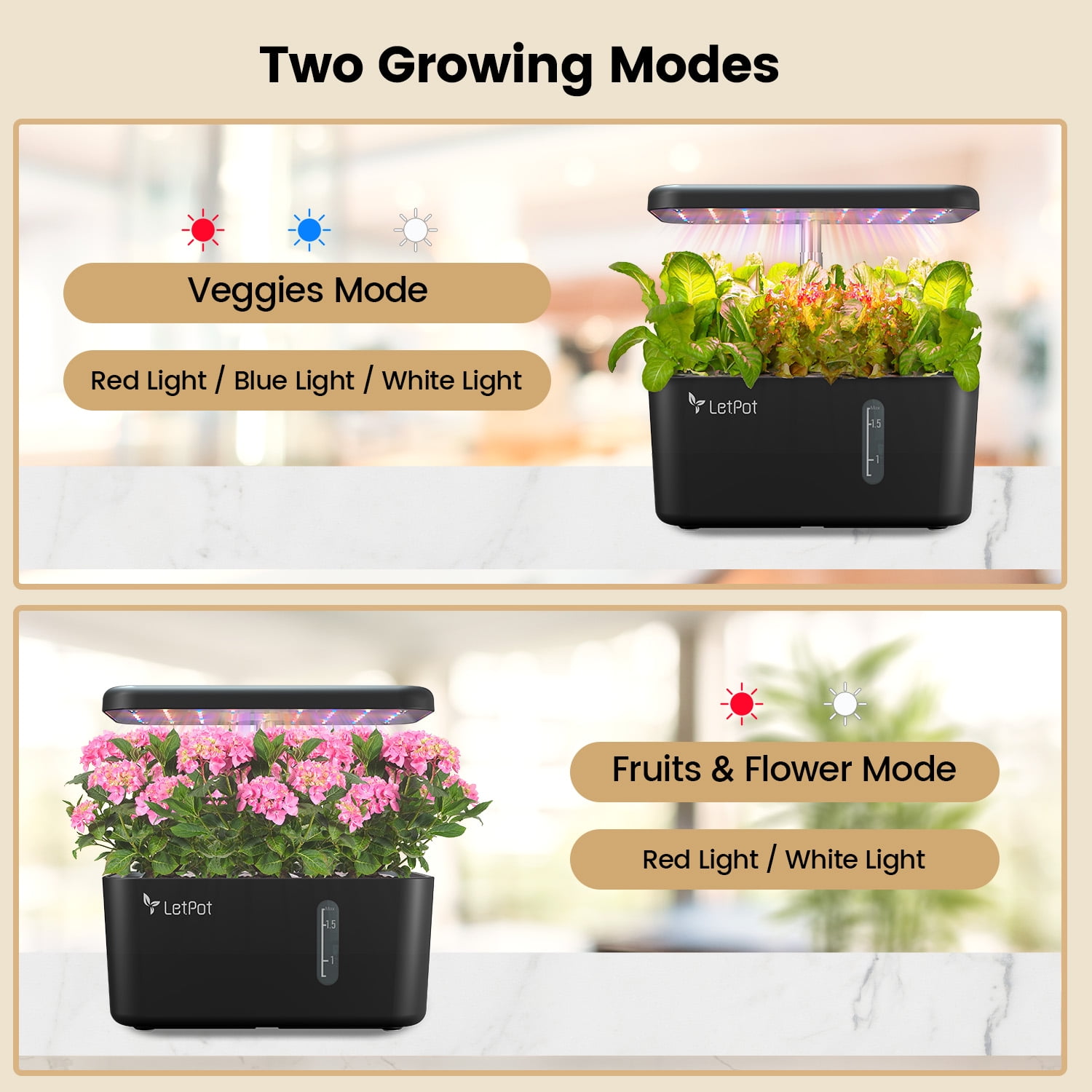 977086fa-a6d6-441c-83ac-