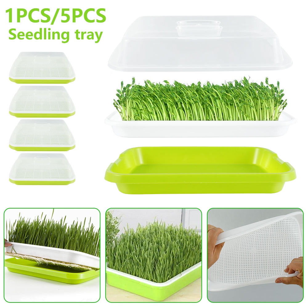 3Pcs Set Plant Tray Household Plant Sprouter Wheatgrass Grower Plant Tray 