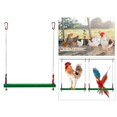 thumbnail image 4 of Columpio de pollo Percha Pollo Juguete Pollo s Pájaros grandes Loros UNA Zulema Columpio de escaleras para aves de corral de patio trasero, 4 of 8