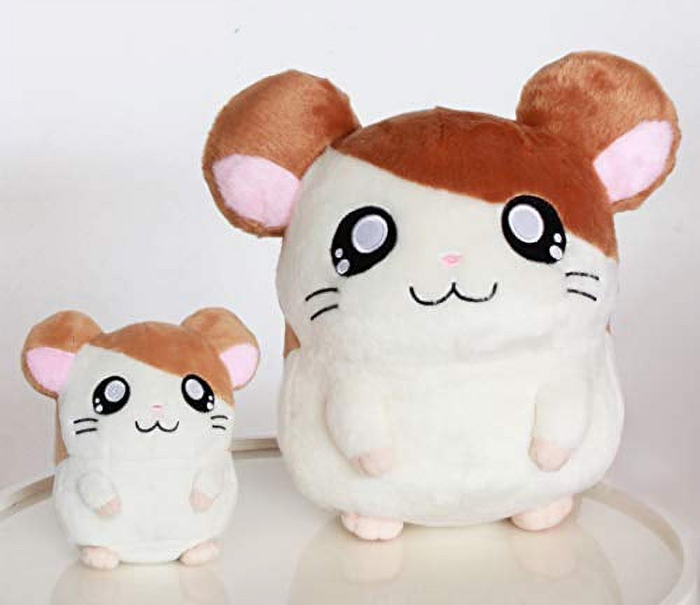 hamtaro ve pashmina