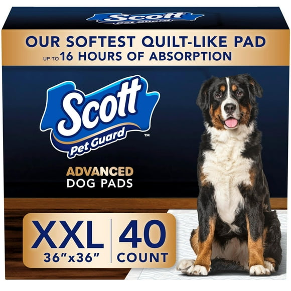 Empapadores para Perros Scott Pet Guard XXL 91x91 cm Paquete de 40