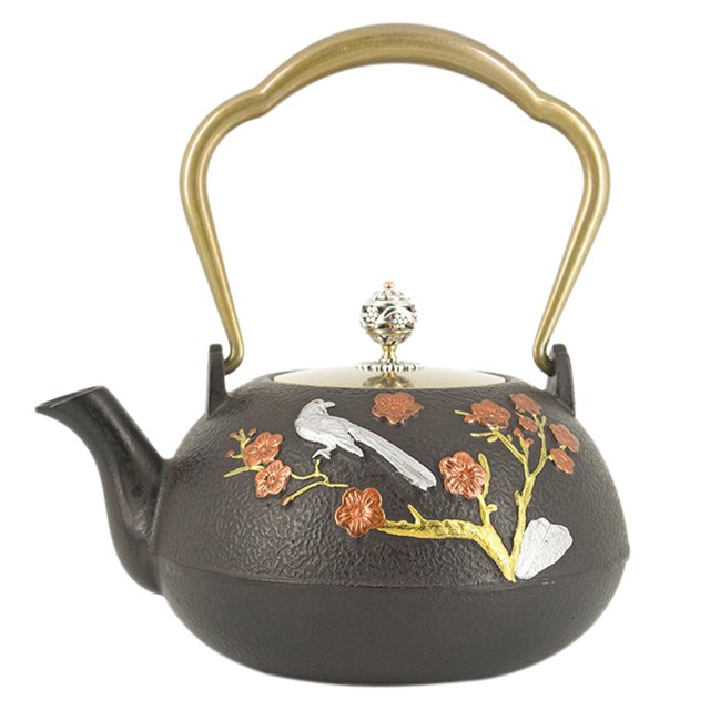 Tetera de Hierro Teteras de émbolo Utensilios Decorativo Accesorios de Casa o Jardín Césped 5 Macarena Tetera de hierro fundido