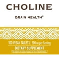 Nature's Way Choline 500 mg per serving 100 Count Vegan Tablets