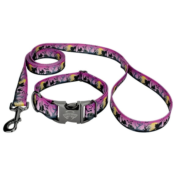 Country Brook Petz® Premium Gunmetal Graveyard Dog Collar and Leash, Large