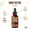 thumbnail image 6 of Body Detox Plus 1fl.oz, Super Colon Broom Cleanser, Papaya Seeds, Gut Health, Lung Detox Supplement for Men and Women, Herbal Goodness, 6 of 8
