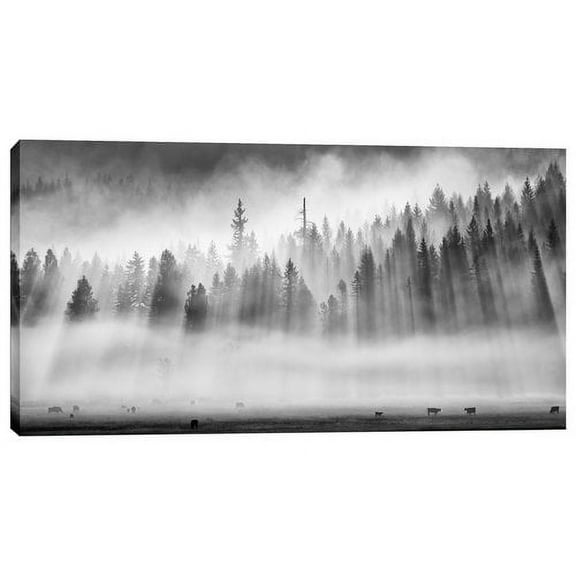 Cortesi Home ''Roaming in the Mist'' by Jesse Estes Photographic Print on Wrapped Canvas