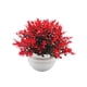 thumbnail image 5 of Planta falsa en maceta, accesorios para fotos, decoración de bonsái artificial, pequeñas plantas falsas para el hogar Rojo, 5 of 9