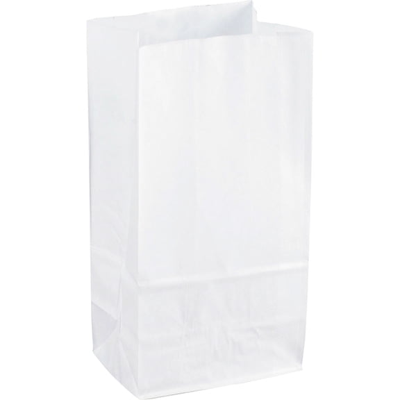 Sparco White Kraft Paper Bags - 6" Width x 11" Length - White - Paper - 100/Pack | Bundle of 5