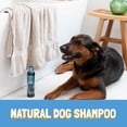 thumbnail image 4 of Champú para Perros Bio-Groom Ultra-Negro Realzador de Color 3.8L, 4 of 6