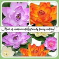 thumbnail image 4 of 24 Piezas Flores De Lirio De Agua De Espuma Flotante Artificial Flor De Loto Realista Con Hojas De Lirio De Agua Adorno De Hojas De Loto Para Estanque Piscina Jardín Aquariu, 4 of 5