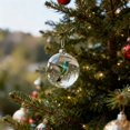 thumbnail image 5 of Nature's Birds Crystal Ornament Set, Hummingbird Christmas Ornament, Cardinal Ornaments for Xmas Tree Memorial Gifts, Clear Plastic Christmas Balls for Room Decor, Holiday Ornaments, 2.8", 5 of 6